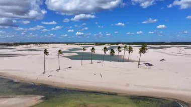 Lencois Maranhenses Tutoia, Brezilya 'da. Doğa Küçük Çarşafları. Manzaralı Palmiye Ağaçları. Lencois Maranhenses Maranhao 'da. Kıvrımlı kum tepeleri. Yağmur suyu gölleri. Tropik Seyahat.