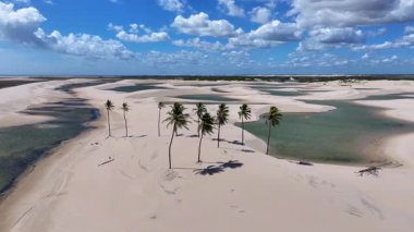 Maranhao Brezilya 'daki Tutoia' da küçük çarşaflar. Doğa manzarası. Kıvrımlı kum tepeleri. Tutoia 'da küçük çarşaflar. Yağmur suyu gölleri. Güzel Yüksek Kumullar. Yaz Gezisi. Brezilya Kuzeydoğu.