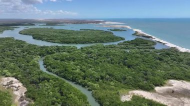 Brezilya 'nın Piaui şehrinde, Cajueiro Da Praia' daki Barra Grande Plajı. Plaj manzarası. Doğa Deniz Burnu. Tatil Varış Yeri. Brezilya 'nın Piaui şehrinde, Cajueiro Da Praia' daki Barra Grande Plajı. Yaz Seyahati.