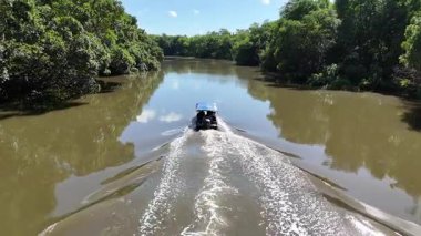 Parnaiba Delta Piaui Brezilya 'da Parnaiba' da. Sarmal Nehir. Doğa Manzarası. Piaui 'de Parnaiba Delta. Amerika 'nın Brezilya Deltası. Plaj manzarası. Tatil seyahatleri. Brezilya Kuzeydoğu.