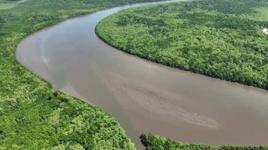 Parnaiba Delta Piaui Brezilya 'da Parnaiba' da. Sarmal Nehir. Doğa Manzarası. Piaui 'de Parnaiba Delta. Amerika 'nın Brezilya Deltası. Plaj manzarası. Tatil seyahatleri. Brezilya Kuzeydoğu.