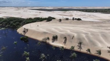 Maranhao Brezilya 'daki Paulino Neves' de küçük çarşaflar. Tatlı Su Gölleri Peyzajı. Kum tepeleri dağları. Paulino Neves 'te küçük çarşaflar. Turizm Seyahati. Doğa Sahnesi. Sahil Arkaplanı. Brezilya Kuzeydoğu.