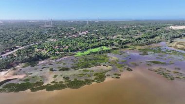 Piaui Brezilya 'daki Parnaiba' da yağmur ormanı gökyüzü. Parnaiba Delta Peyzajı. Mangrove Skyline 'da. Piaui Brezilya 'daki Parnaiba' da yağmur ormanı gökyüzü. Amerika 'nın Safari Deltası. Delta Bataklığı.