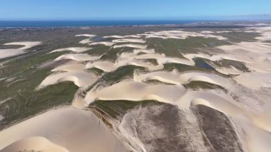 Piaui Brezilya 'daki Luis Correia' da Lencois Piauienses. Tatlı Su Gölleri Peyzajı. Kum tepeleri dağları. Lencois Piauiens Luis Correia 'da. Turizm Seyahati. Doğa Sahnesi. Plaj Arkaplanı.