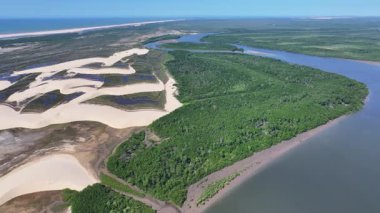 Parnaiba Delta Piaui Brezilya 'da Parnaiba' da. Sarmal Nehir. Doğa Manzarası. Piaui 'de Parnaiba Delta. Amerika 'nın Brezilya Deltası. Plaj manzarası. Tatil seyahatleri. Brezilya Kuzeydoğu.