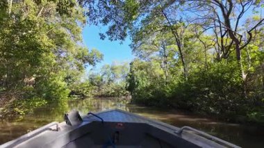 Maranhao Brezilya 'da Tutoia' da tekne turu. Parnaiba Delta Peyzajı. Seyahat gezisi. Maranhao Brezilya 'da Tutoia' da tekne turu. Amerika 'nın Safari Deltası. Mangrove Skyline 'da. Parnaiba Deltası.