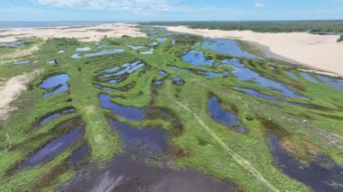 Maranhao Brezilya 'daki Tutoia Köyü. En Büyük Nehir Deltası. Kıyı Kenti manzarası. Maranhao 'daki Tutoia Köyü. Riverside Sahnesi. Doğa Arkaplanı. Seyahat güzergahı. Brezilya Kuzeydoğu.