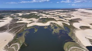 Piaui Brezilya 'daki Luis Correia' da Lencois Piauienses. Tatlı Su Gölleri Peyzajı. Kum tepeleri dağları. Lencois Piauiens Luis Correia 'da. Turizm Seyahati. Doğa Sahnesi. Plaj Arkaplanı.