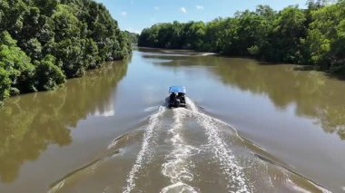 Maranhao Brezilya 'da Tutoia' da tekne turu. Parnaiba Delta Peyzajı. Seyahat gezisi. Maranhao Brezilya 'da Tutoia' da tekne turu. Amerika 'nın Safari Deltası. Mangrove Skyline 'da. Parnaiba Deltası.