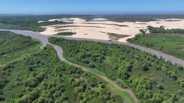 Parnaiba Delta Piaui Brezilya 'da Parnaiba' da. Sarmal Nehir. Doğa Manzarası. Piaui 'de Parnaiba Delta. Amerika 'nın Brezilya Deltası. Plaj manzarası. Tatil seyahatleri. Brezilya Kuzeydoğu.