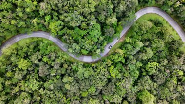 Curitiba Parana Brezilya 'daki Graciosa Yolu. Otobanda yoğun trafiğin nefes kesici hava manzarası var. Doğa Dramatik Gökyüzü Ormanı. Doğa Kırsal Panoramik Manzaraları. Curitiba Parana.