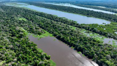 Amazon Ormanı Manaus Amazonas Brezilya 'da. Amazon Nehri, yemyeşil yeşillikler ve nehir tekneleri gösteriyor. Orman Bitkisi Amazon Yeşili. Vahşi doğa Panoramik Manzara. Manaus Amazonas.