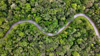 Estrada Da Graciosa Morretes Parana Brezilya 'da. Meşhur bir yoldaki araçların güçlü manzarası. Doğa Gökyüzü Ormanı 'nı Bulutlandırıyor. Gökyüzü Kırsal Panoramik Görünümü. Morretes Parana.