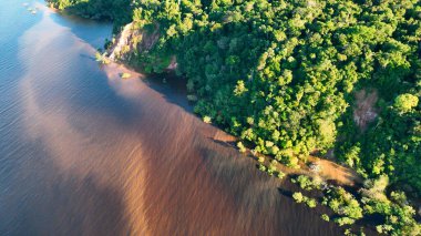 Amazon Nehri Manaus Amazonas Brezilya 'da. Sersemletici Nehir, Bereketli Tropikal Yağmur Ormanları 'ndan Geçiyor. Bolivya Nehri Yağmur Ormanı Gölü. Yağmur Ormanı. Manaus Amazonas.