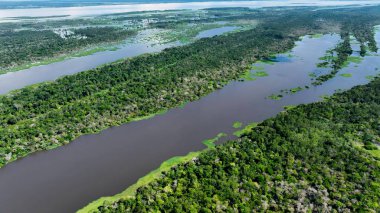 Amazon yağmur ormanları Manaus Amazonas Brezilya 'da. Sersemletici Nehir, Bereketli Tropikal Yağmur Ormanları 'ndan Geçiyor. Orman Bitkisi Amazon Yeşili. Vahşi doğa Panoramik Manzara. Manaus Amazonas.