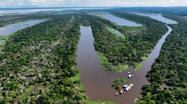 Amazon yağmur ormanları Manaus Amazonas Brezilya 'da. Amazon yağmur ormanlarında selin etkilerini yakalıyoruz. Surinam Doğa Ormanı Arkaplan Hidrografi Koyu. Surinam Green. Manaus Amazonas.