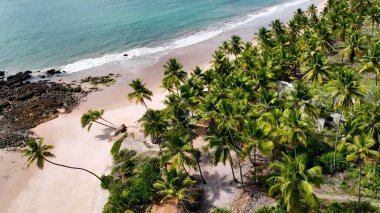 Conde Paraiba Brezilya 'daki Coqueirinho Plajı. Bereketli bir tropikal sahil manzarasının nefes kesici görüntüsü. Sahil Gökyüzü Sahil Kıyısı Yaz Zamanı. Seaside Beach Panoramik. Conde Paraiba.