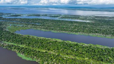Amazon Ormanı Manaus Amazonas Brezilya 'da. Nehir yemyeşil orman manzarasından akıyor. Yaban Ormanı 'nda seyahat edin. Seyahat Güzel Gün Amazon Panoraması. Manaus Amazonas.