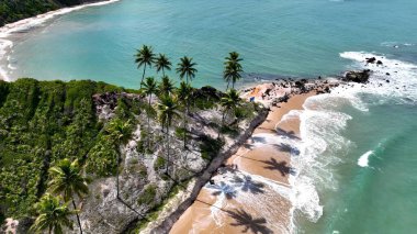Conde Paraiba Brezilya 'daki Coqueirinho Plajı. Bereketli bir tropikal sahil manzarasının nefes kesici görüntüsü. Ada Hayatı Manzarası Huzurlu Güzel. Huzurlu. Conde Paraiba.
