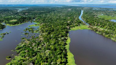 Amazon Nehri Manaus Amazonas Brezilya 'da. Amazon yağmur ormanlarında selin etkilerini yakalıyoruz. Surinam Doğa Ormanı Arkaplan Hidrografi Koyu. Surinam Green. Manaus Amazonas.