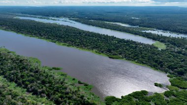 Amazon yağmur ormanları Manaus Amazonas Brezilya 'da. Sersemletici Nehir, Bereketli Tropikal Yağmur Ormanları 'ndan Geçiyor. Surinam Doğa Ormanı Arkaplan Hidrografi Koyu. Surinam Green. Manaus Amazonas.