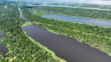 Amazon Nehri Manaus Amazonas Brezilya 'da. Sersemletici Nehir, Bereketli Tropikal Yağmur Ormanları 'ndan Geçiyor. Orman Üstgeçidi Amazon Yeşili. Vahşi doğa yağmur mevsimi. Manaus Amazonas.