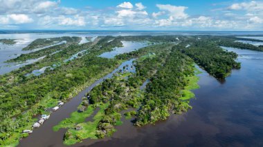 Manaus Amazonas Brezilya 'daki Amazon Ormanı. Sersemletici Nehir, Bereketli Tropikal Yağmur Ormanları 'ndan Geçiyor. Yaban Ormanı 'nda seyahat edin. Seyahat Güzel Gün Amazon Panoraması. Manaus Amazonas.
