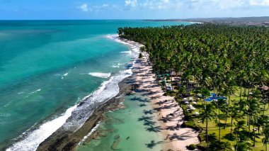 Tamandare Pernambuco Brezilya 'da koyun kumsalı. Bereketli bir tropikal sahil manzarasının nefes kesici görüntüsü. Terkedilmiş Peyzaj Eğlencesi Güzelliği. Terk edilmiş rıhtım kıyısı. Tamandare Pernambuco.