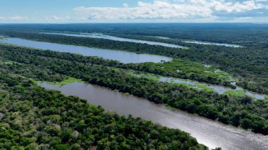 Amazon Nehri Manaus Amazonas Brezilya 'da. Amazon yağmur ormanlarında selin etkilerini yakalıyoruz. Bolivya Nehri Yağmur Ormanı Gölü. Yağmur Ormanı. Manaus Amazonas.