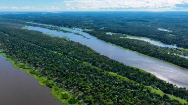 Amazon Nehri Manaus Amazonas Brezilya 'da. Amazon yağmur ormanlarında selin etkilerini yakalıyoruz. Surinam Nehri Yağmur Ormanı Sahili. Orman Yağmur Ormanı Seyahati. Manaus Amazonas.