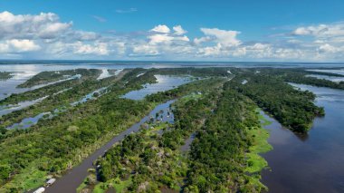 Amazon yağmur ormanları Manaus Amazonas Brezilya 'da. Sersemletici Nehir, Bereketli Tropikal Yağmur Ormanları 'ndan Geçiyor. Orman Üstgeçidi Amazon Yeşili. Vahşi doğa yağmur mevsimi. Manaus Amazonas.