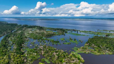 Amazon yağmur ormanları Manaus Amazonas Brezilya 'da. Amazon Nehri, yemyeşil yeşillikler ve nehir tekneleri gösteriyor. Orman Ağaçları Amazon Yeşili. Açık havada Amazon Panning Wide. Manaus Amazonas.