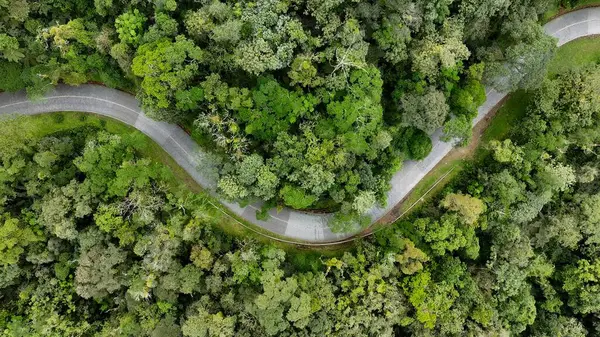 Estrada Da Graciosa Morretes Parana Brezilya 'da. Meşhur bir yoldaki araçların güçlü manzarası. Doğa Gökyüzü Bulutları Gökyüzü Ormanı. Peyzaj Gökyüzü Panoramik Gökyüzü. Morretes Parana.