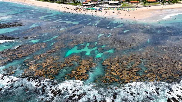 Port of Chicken Pernambuco Brazil 'deki Cupe Plajı. Kristal berrak sularla sersemletici sahilin havadan görünüşü. Horizon Sahili Denizi kıyısında. Açık Sahil Panoramik. Port of Chicken Pernambuco.