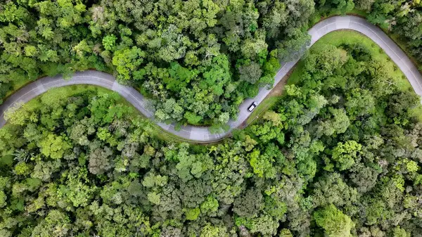 Curitiba Parana Brezilya 'daki Graciosa Yolu. Otobanda yoğun trafiğin nefes kesici hava manzarası var. Doğa Dramatik Gökyüzü Ormanı. Doğa Kırsal Panoramik Manzaraları. Curitiba Parana.
