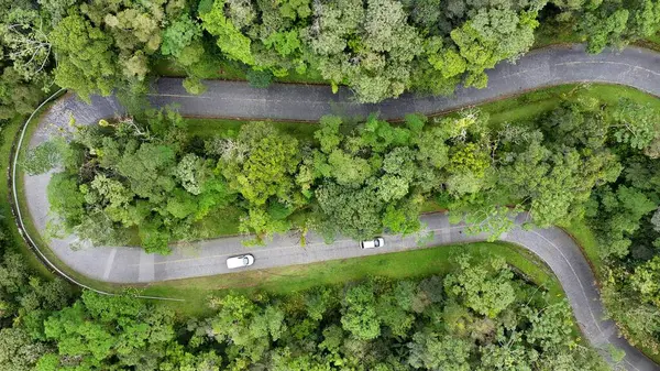 Estrada Da Graciosa Morretes Parana Brezilya 'da. Şehir Caddelerini birbirine bağlayan çevre yolunun şehir hayatı manzarası. Doğa Gökyüzü Bulutları Gökyüzü Ormanı. Doğa Ufku. Morretes Parana.