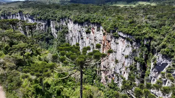 Cambara Do Sul Rio Grande Do Sul Brezilya 'daki Itaimbezinho Kanyonu. Tropikal Sahnedeki Güzel Kanyonlar 'ın dramatik manzarası. Taşra Bulutları Gökyüzü Kırsal Alanı. Tarım Kırsal Panoramik.