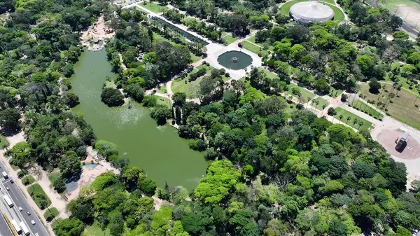 Porto Alegre Rio Grande Do Sul Brezilya 'daki Redencao Parkı. Şehrin çarpıcı ikonik eğlence parkının kuş bakışı görüntüsü. Metropol Manzarası Panoramik Şehir Manzarası Güzel.