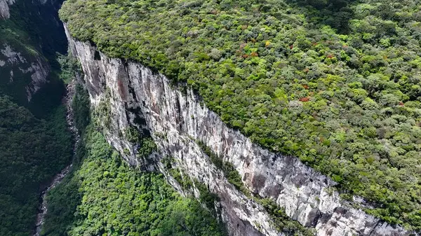 Praia Grande Santa Catarina Brezilya 'daki Itaimbezinho Kanyonu. Uçurum tarafı, yukarıdan görünen yemyeşil ormanlarla çevrili. Egzotik Dış Tarım Güzel. Orman Tarım Doğası.