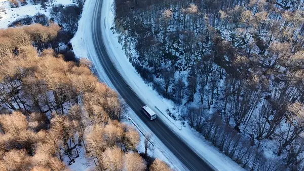 Arjantin 'in Ushuaia' daki Patagonya Skyline 'ı. Muhteşem kır manzarası. Çiftlik ve Orman Ağaçları yakınında. Doğa Seyahati Karlı Orman Ağaçları. Doğa Gökyüzü Havası. Ushuaia Dünyanın Sonu.