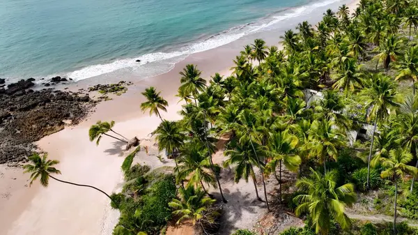 Conde Paraiba Brezilya 'daki Coqueirinho Plajı. Bereketli bir tropikal sahil manzarasının nefes kesici görüntüsü. Sahil Gökyüzü Sahil Kıyısı Yaz Zamanı. Seaside Beach Panoramik. Conde Paraiba.
