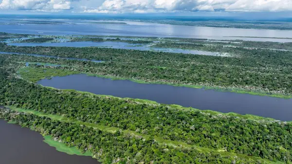 Amazon Ormanı Manaus Amazonas Brezilya 'da. Nehir yemyeşil orman manzarasından akıyor. Yaban Ormanı 'nda seyahat edin. Seyahat Güzel Gün Amazon Panoraması. Manaus Amazonas.