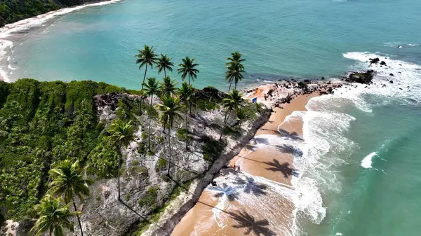 Conde Paraiba Brezilya 'daki Coqueirinho Plajı. Bereketli bir tropikal sahil manzarasının nefes kesici görüntüsü. Ada Hayatı Manzarası Huzurlu Güzel. Huzurlu. Conde Paraiba.