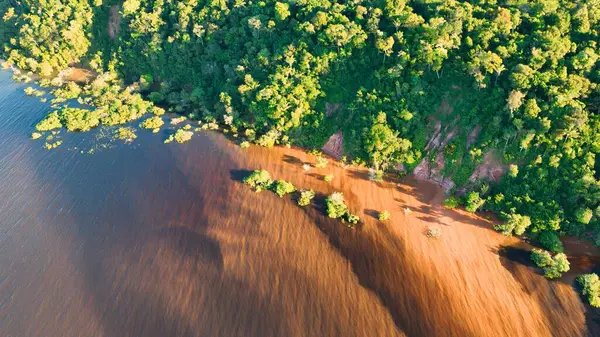Amazon Nehri Manaus Amazonas Brezilya 'da. Amazon yağmur ormanlarında selin etkilerini yakalıyoruz. Yaban Ormanı 'nda seyahat edin. Seyahat Güzel Gün Amazon Panoraması. Manaus Amazonas.