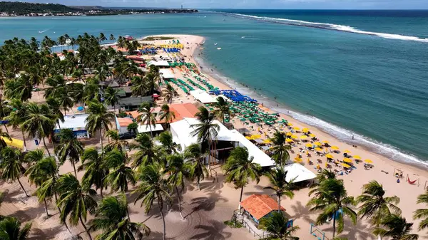 Maceio Alagoas Brezilya 'daki Gunga Plajı. Büyüleyici Tropikal Sahne Sahnesi Yukarıdan Görünüyor. Sahil Gökyüzü Sahil Kıyısı Yaz Zamanı. Deniz kenarındaki panoramik. Maceio Alagoas.