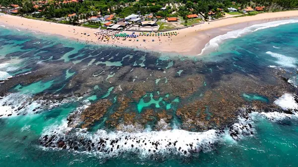 Port of Chickens Beach Pernambuco Brezilya 'daki Cupe Plajı. Bereketli bir tropikal sahil manzarasının nefes kesici görüntüsü. Sahil Gökyüzü Sahil Kıyısı Yaz Zamanı. Sahil Sahili Panoramik.
