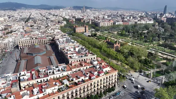 Barcelona Katalonya İspanya 'da Barselona Skyline. Ünlü Botanik Bahçesi şehri geziyor. Şehir merkezindeki iş dünyası. İş geçmişleri ünlüdür. Barselona Katalonya.