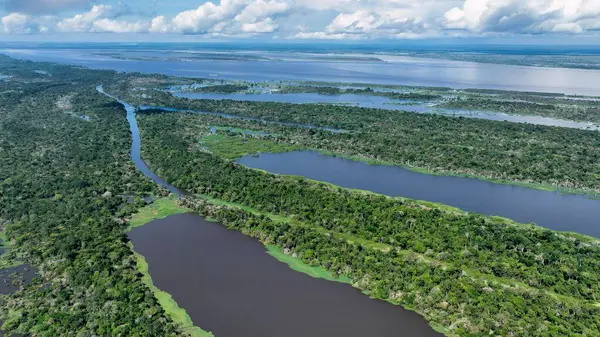 Amazon yağmur ormanları Manaus Amazonas Brezilya 'da. Nehir yemyeşil orman manzarasından akıyor. Orman Ağaçları Amazon Yeşili. Orman Amazon seli. Manaus Amazonas.