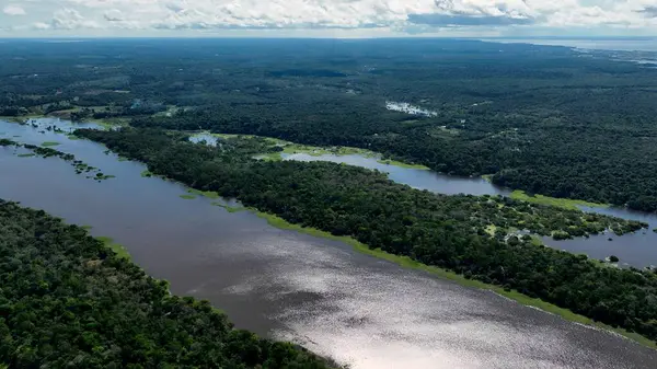 Amazon yağmur ormanları Manaus Amazonas Brezilya 'da. Sersemletici Nehir, Bereketli Tropikal Yağmur Ormanları 'ndan Geçiyor. Surinam Nehri Yağmur Ormanı Sahili. Orman Yağmur Ormanı Seyahati. Manaus Amazonas.