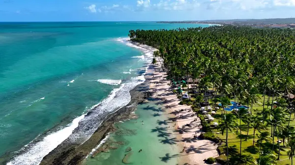 Tamandare Pernambuco Brezilya 'da koyun kumsalı. Bereketli bir tropikal sahil manzarasının nefes kesici görüntüsü. Terkedilmiş Peyzaj Eğlencesi Güzelliği. Terk edilmiş rıhtım kıyısı. Tamandare Pernambuco.